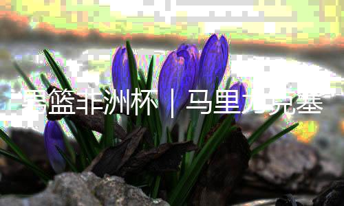 男篮非洲杯|马里力克塞内加尔 首次挺进决赛